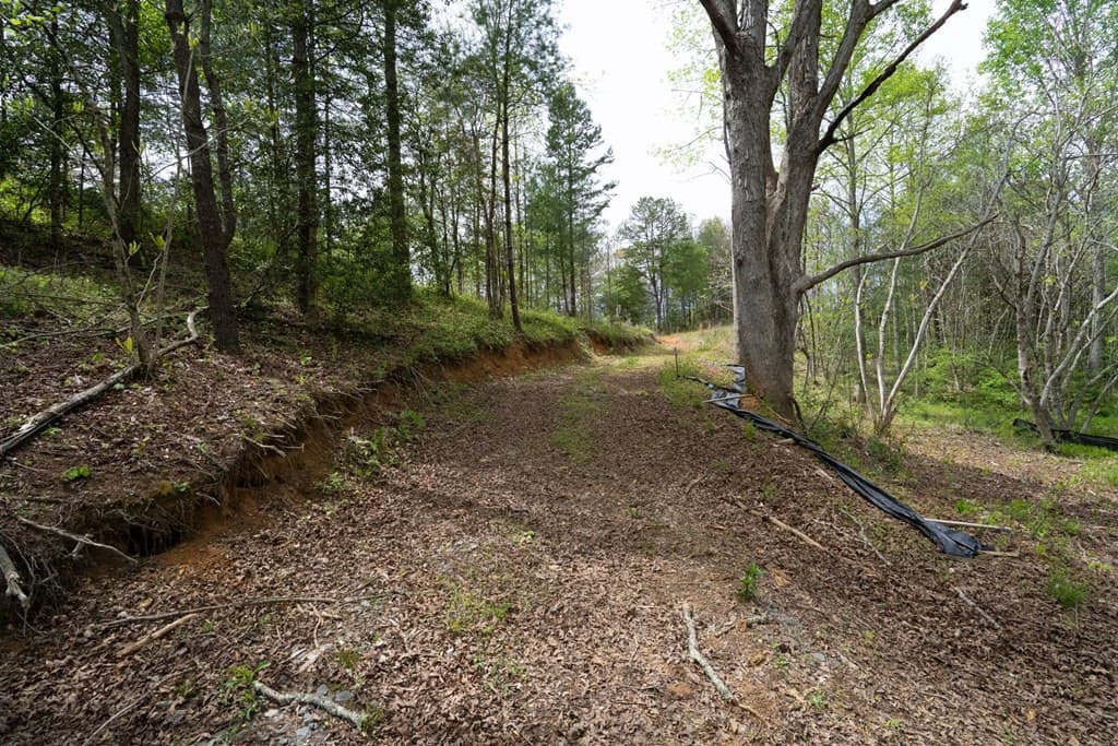 Wooded at 125 Milk And Honey Drive, Murphy, NC 28902, photo 17 of 23