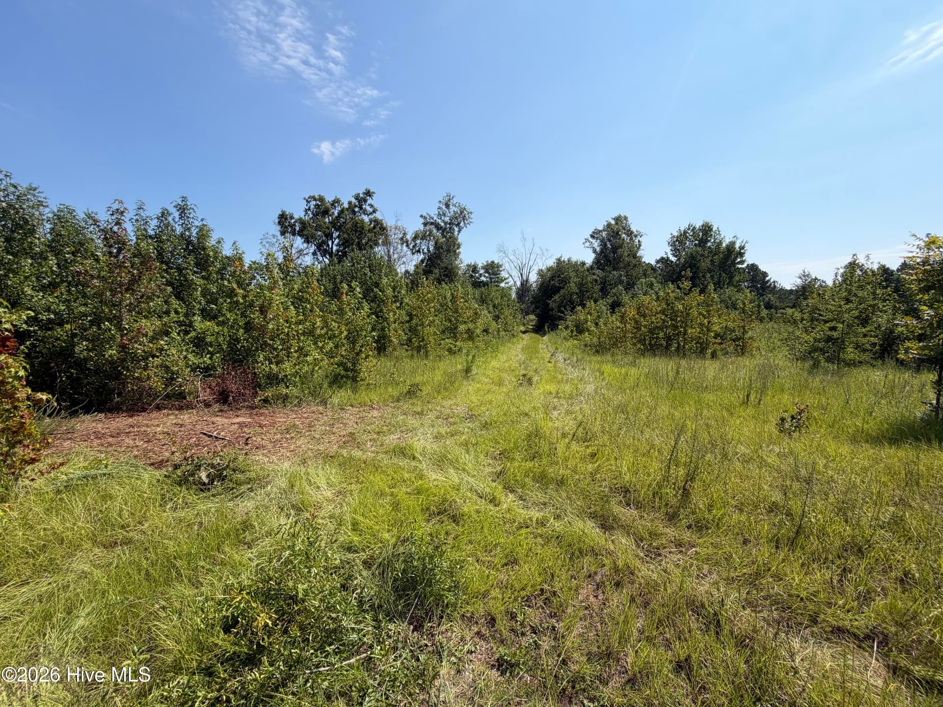 Residential Lot at 0 0 Poole Melton Road, Blythe, GA 30805, photo 8 of 15