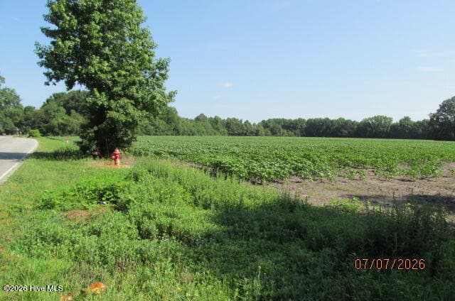 Farm at 203 E Rockingham Road, Maxton, NC 28364, photo 3 of 4