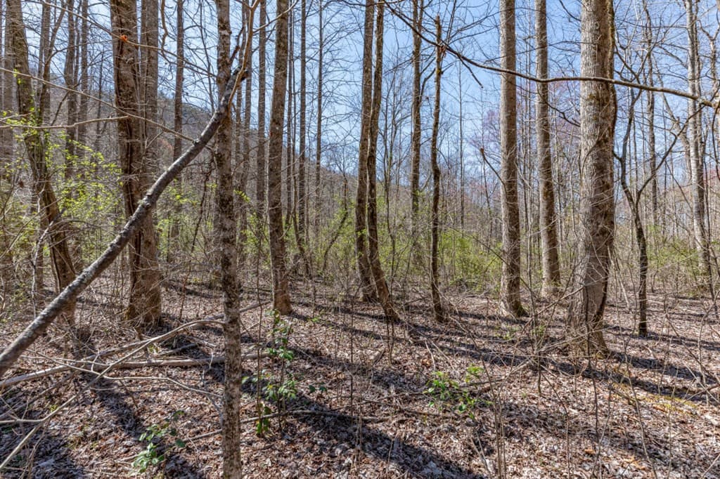 Land at Lots 12+ Tusquittee Crossing, Hayesville, NC 28904, Hayesville, photo 7 of 14