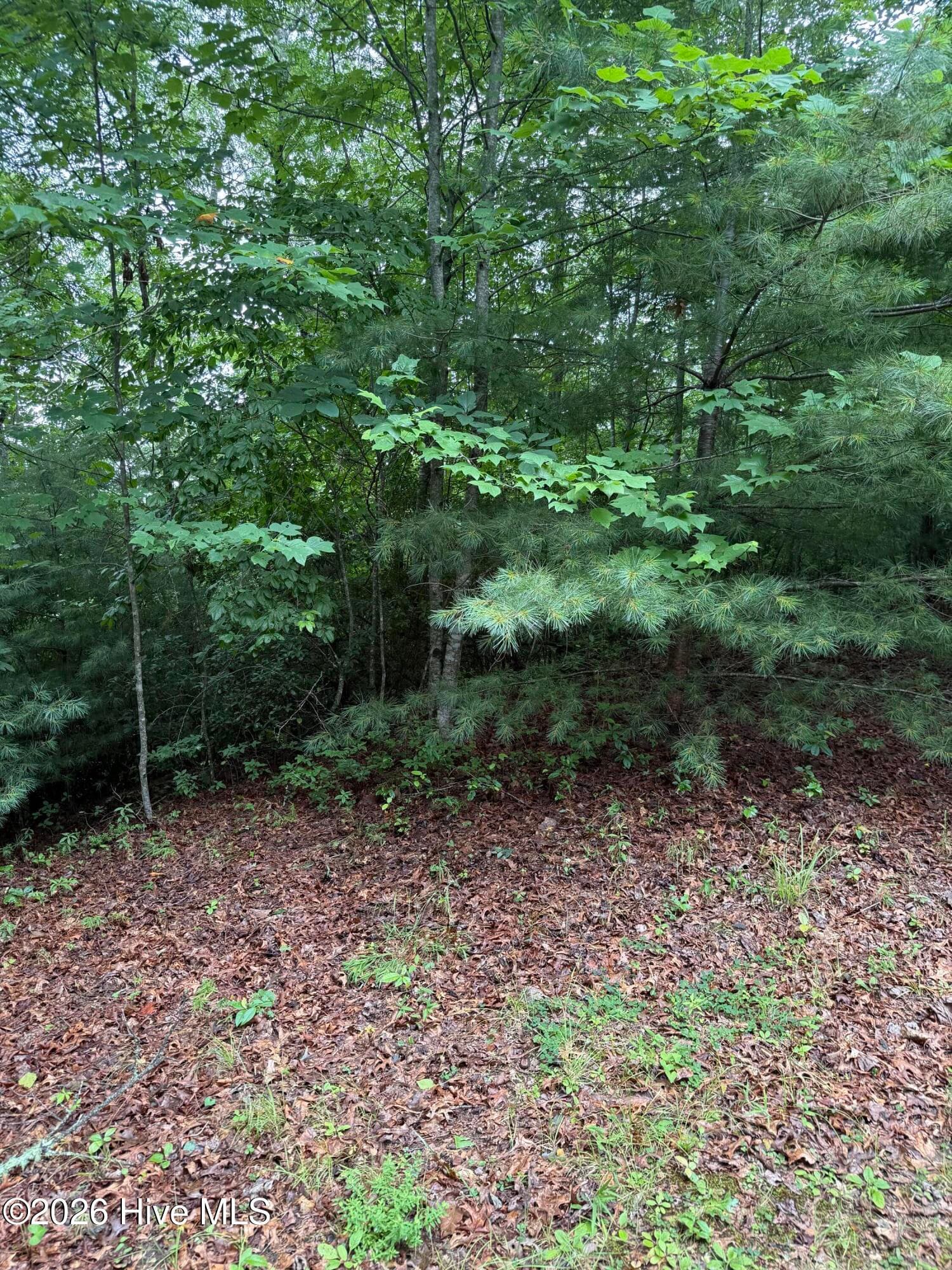 Residential Lot at Lot 14 14 Mountain Vista Lane, Topton, NC 28781, photo 4 of 8