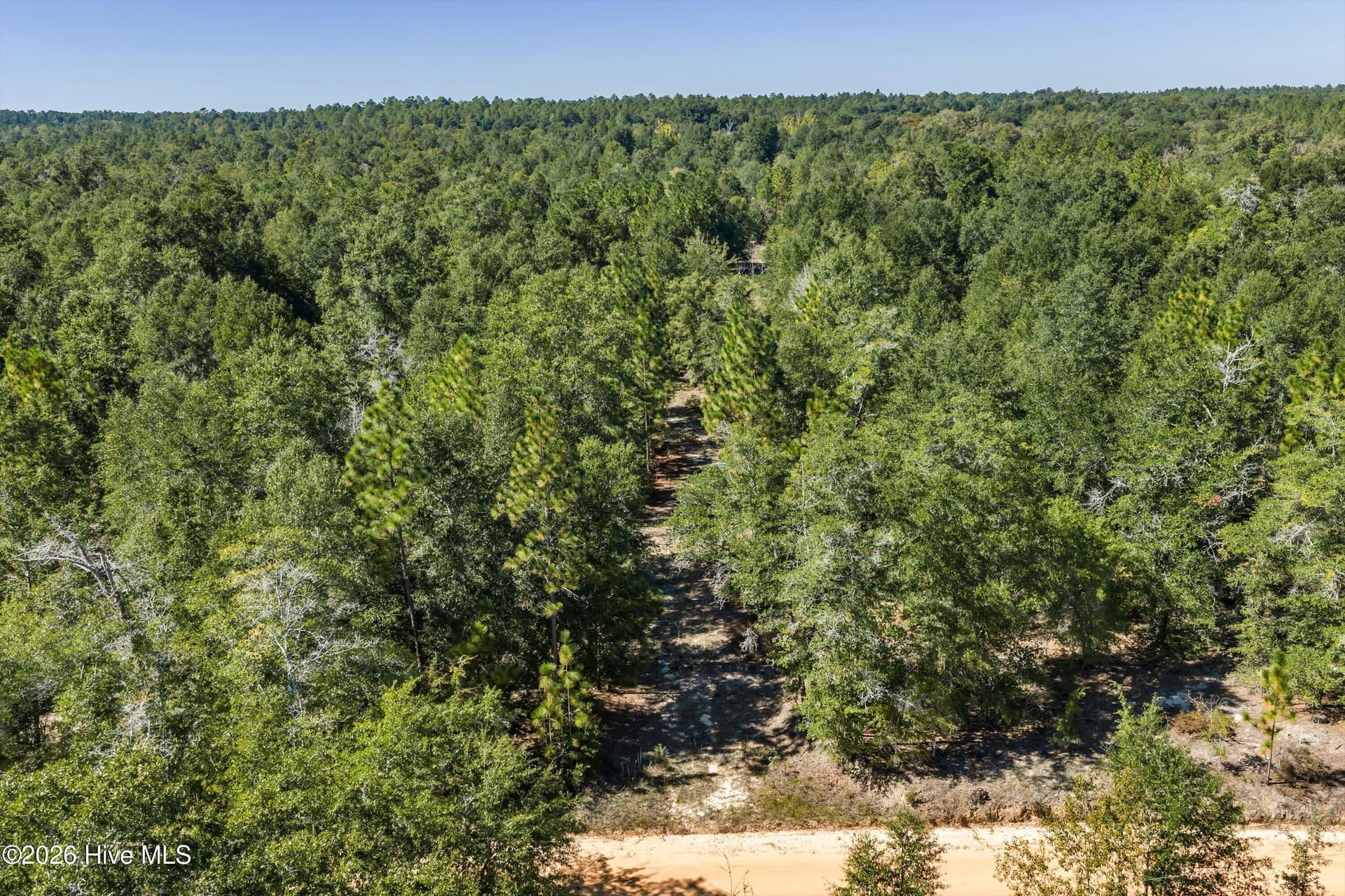 Residential Lot at 000.0 Mary Rawls Road, Wagener, SC 29164, photo 3 of 21