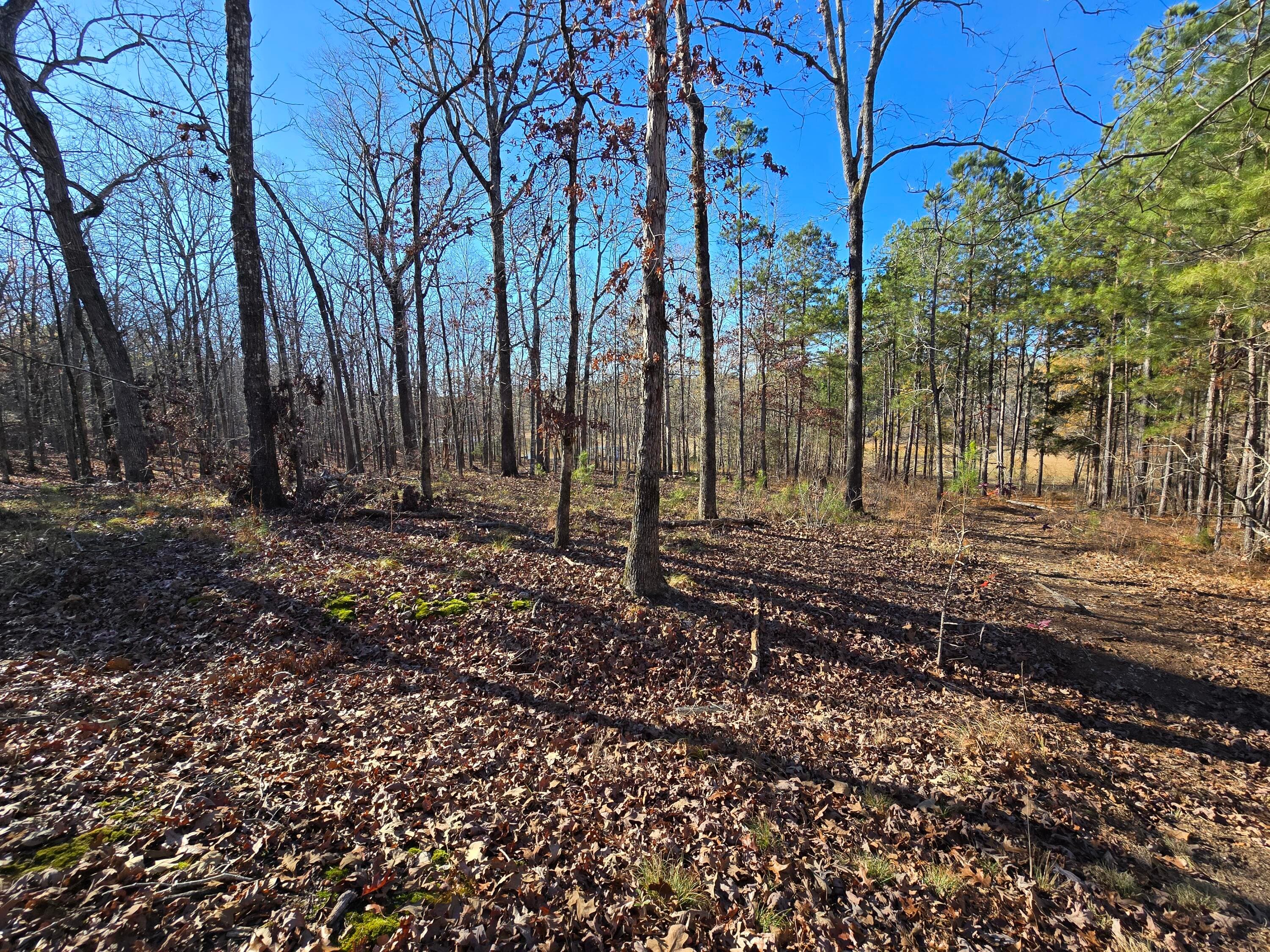 Residential Lot at 1102 Dogwood Drive, Lincolnton, GA 30817, photo 20 of 46