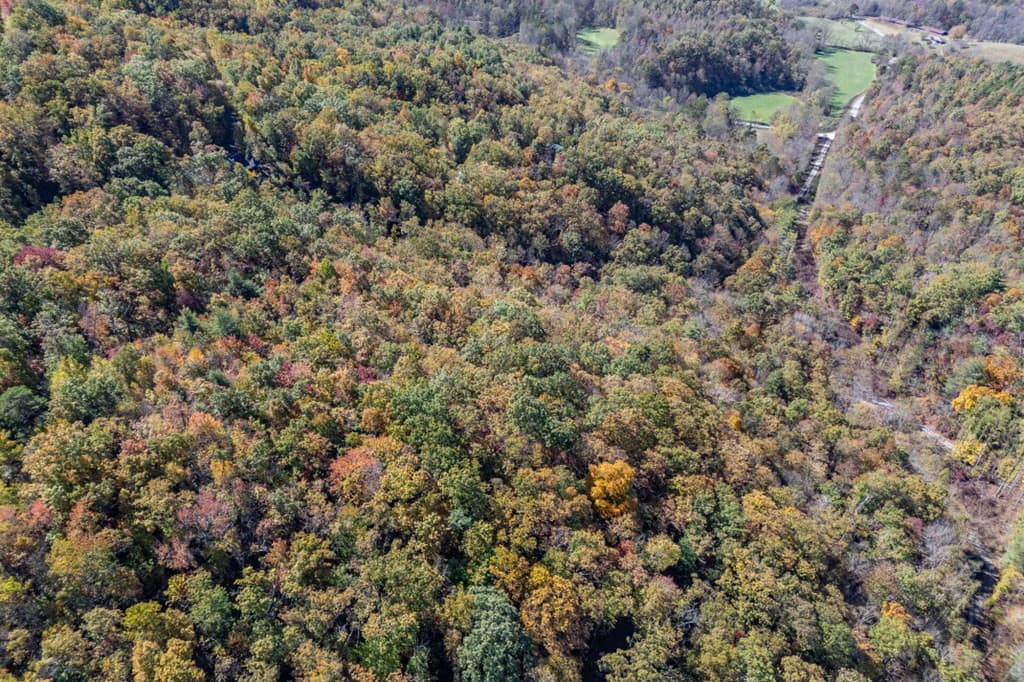Undeveloped at Lot 38 38 Skyview At Wildlife Acres, Hayesville, NC 28904, Hayesville, photo 17 of 32