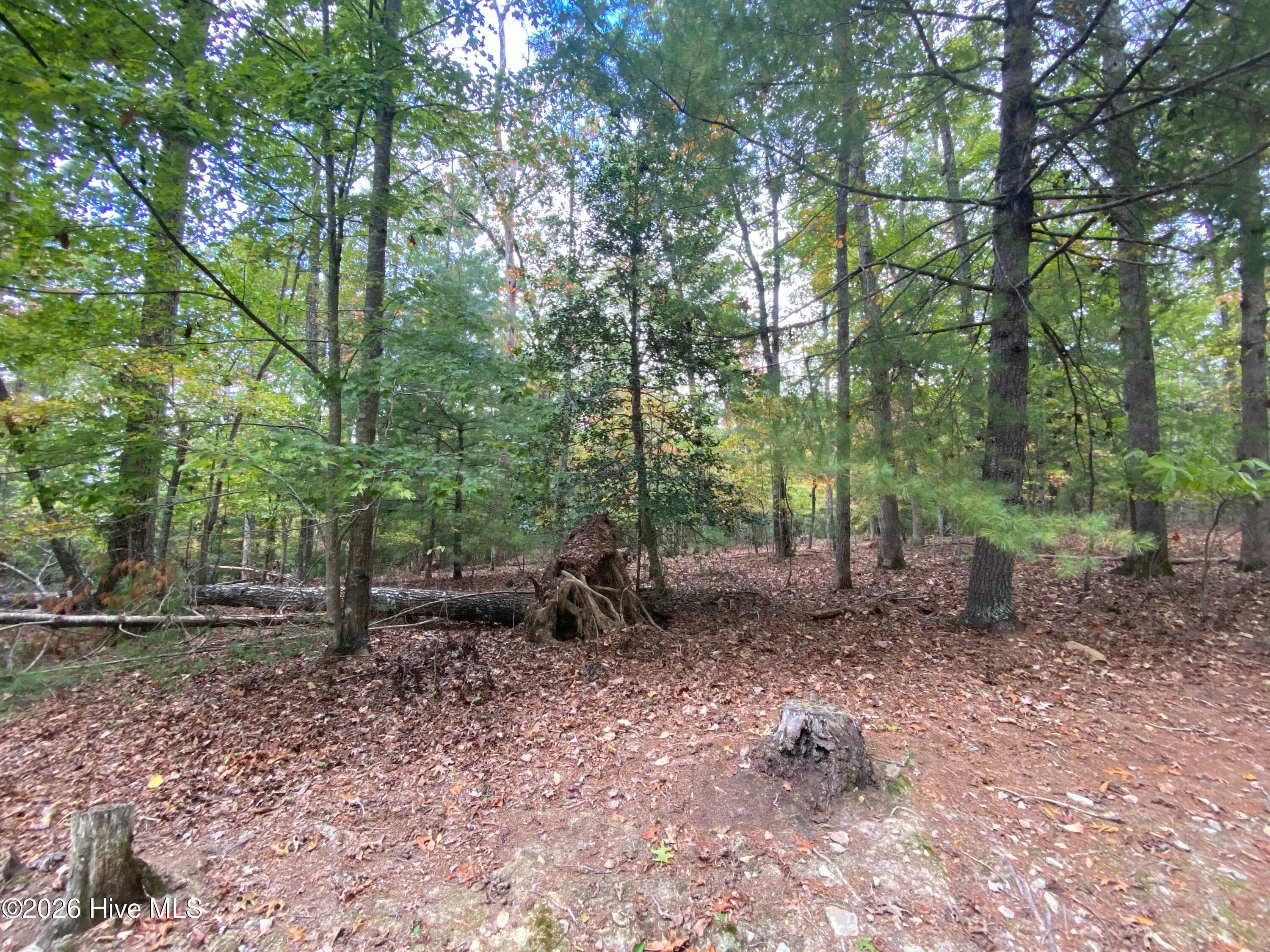 Wooded at 14 14 Mission Ridge, Hayesville, NC 28904, Hayesville, photo 3 of 14