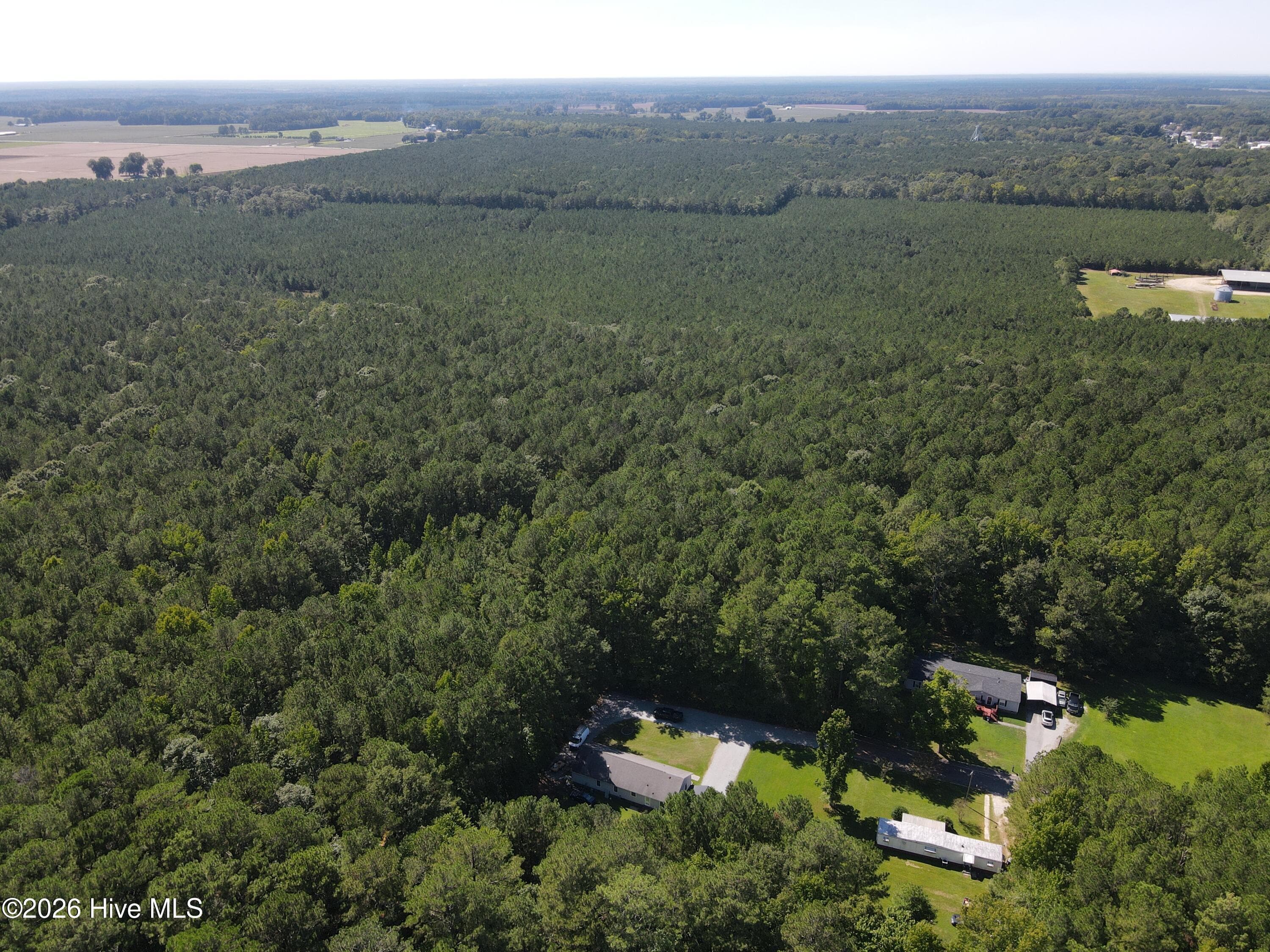 Wooded at Tbd Nc 305, Jackson, NC 27845, photo 4 of 9