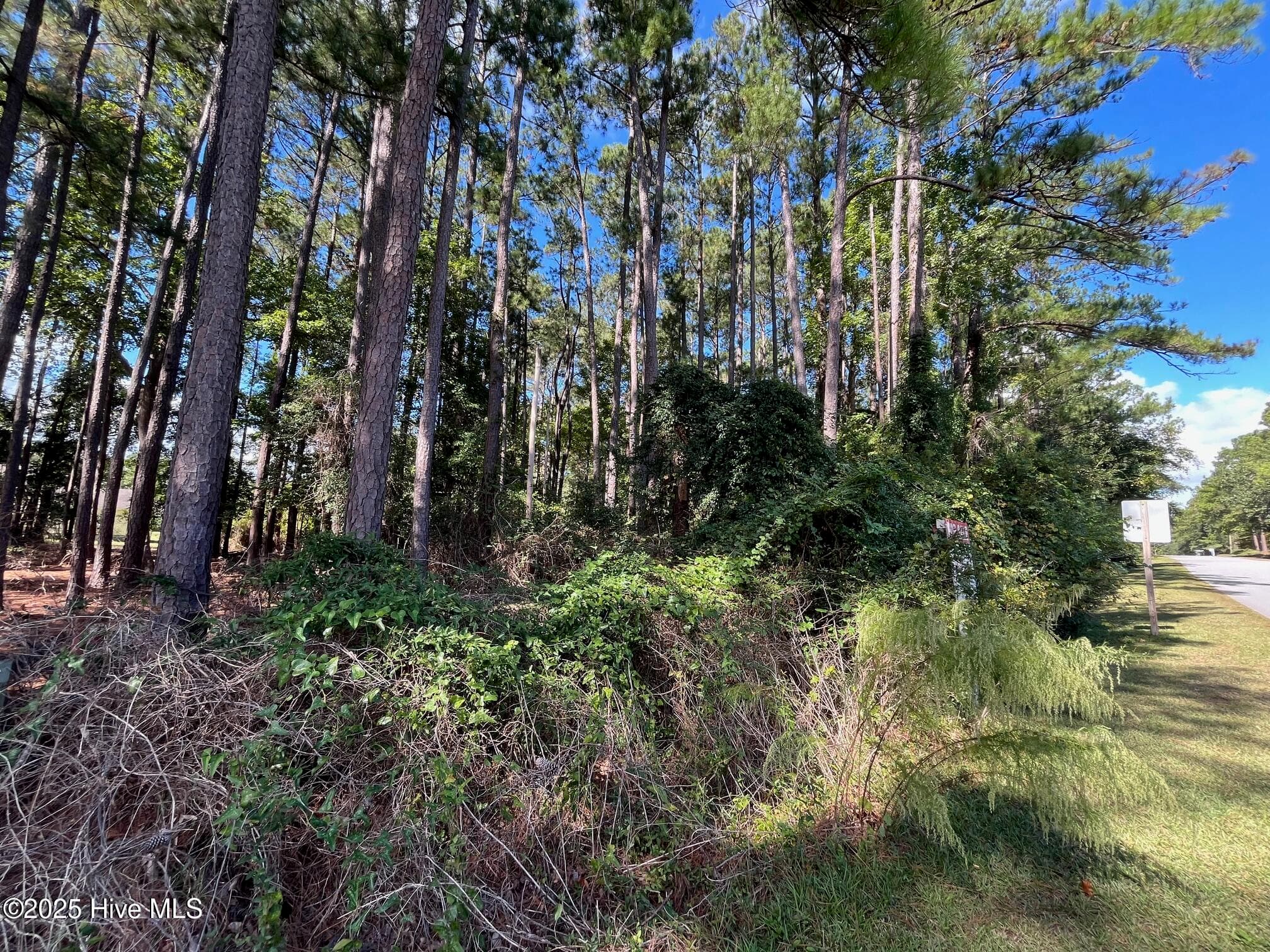 Residential Lot at 320 Hardison Drive, Minnesott Beach, NC 28510, photo 5 of 7