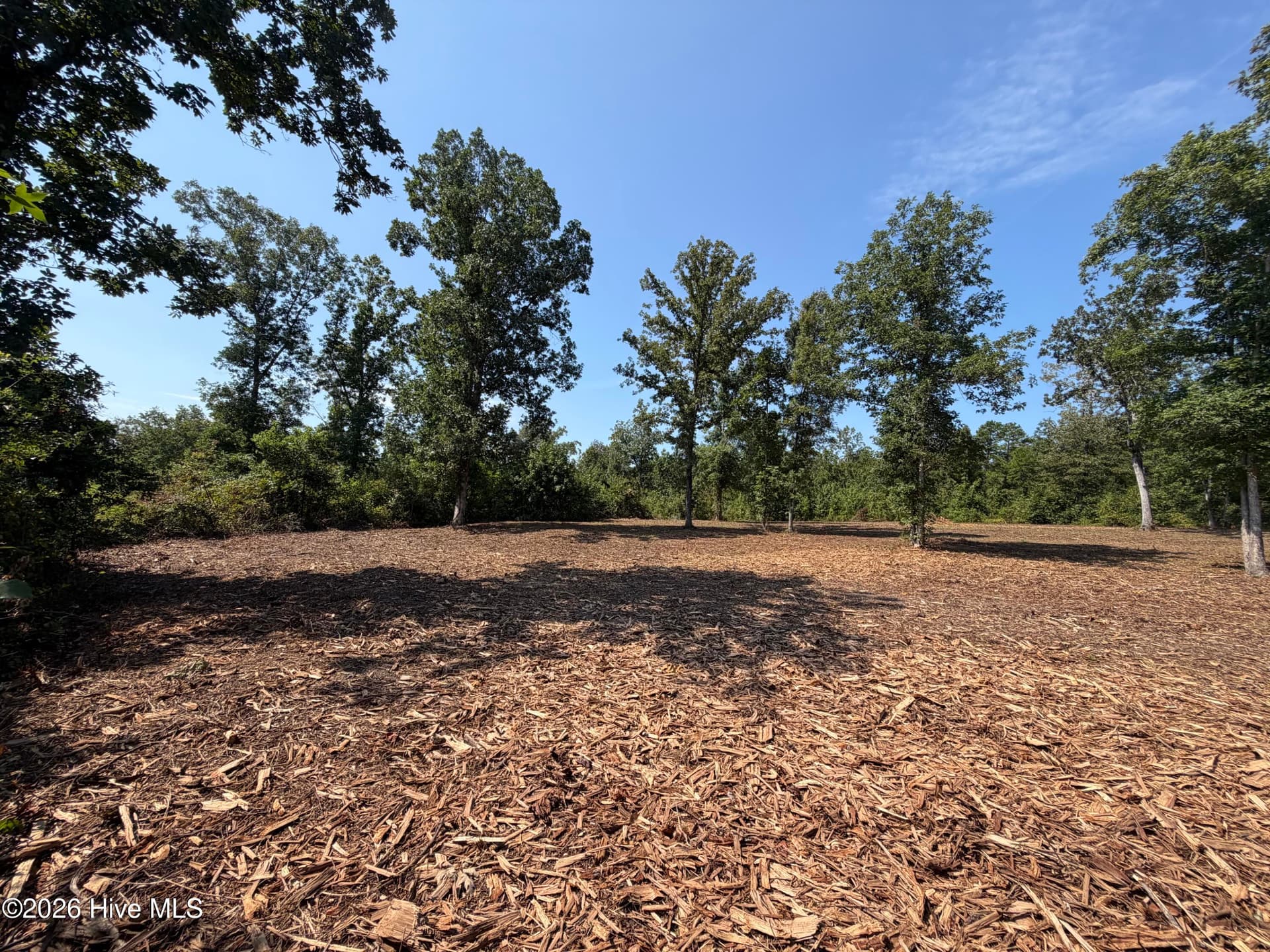 Residential Lot at 0 0 Poole Melton Road, Blythe, GA 30805, photo 5 of 15