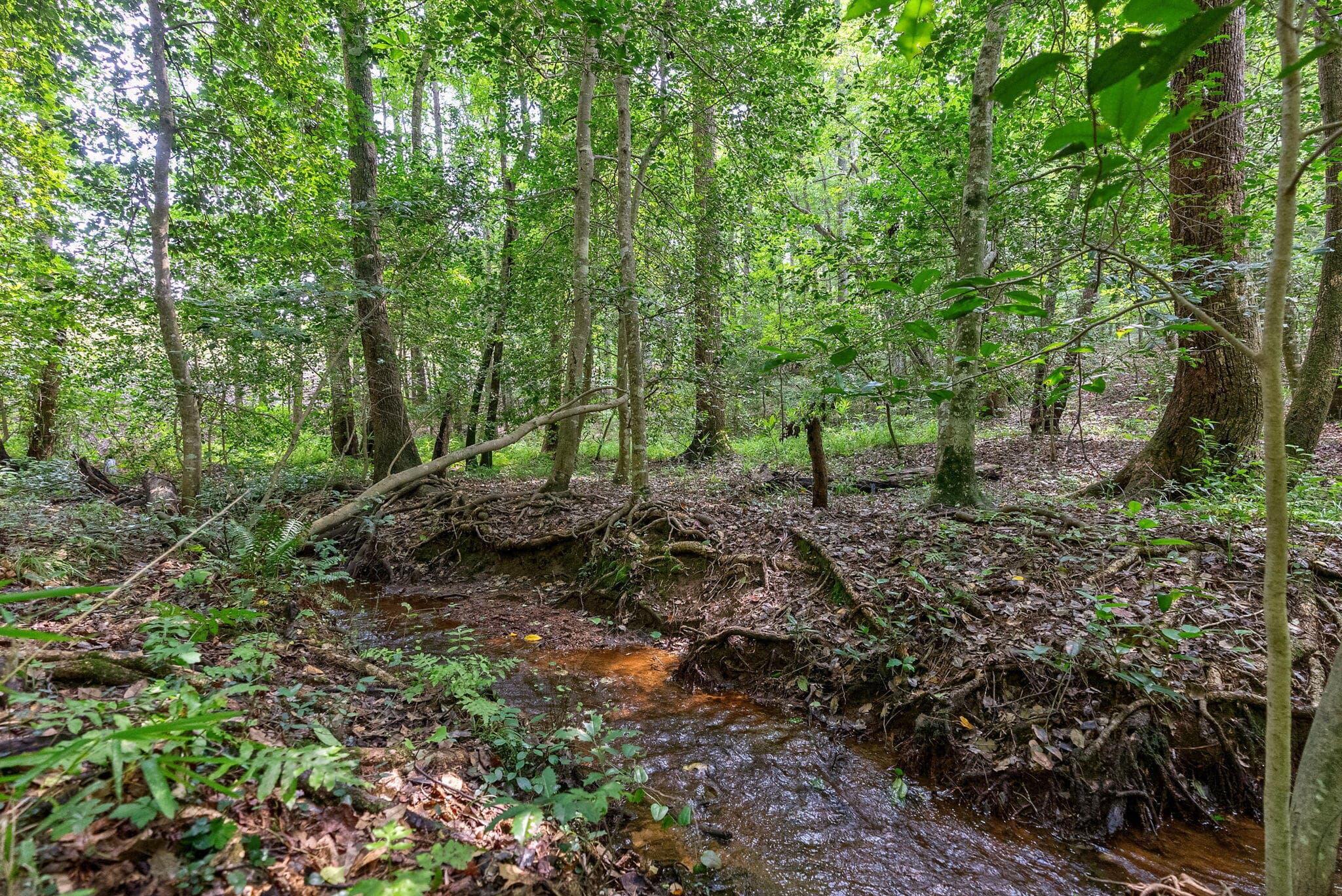 Undeveloped at 14 Woodspring Court, North Augusta, SC 29860, photo 4 of 12