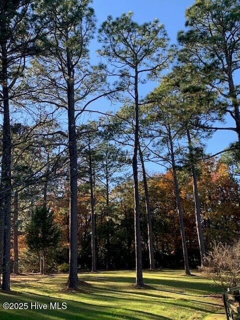 Single Family Residence at 292 Bump A Long Lane, Southern Pines, NC 28387, photo 81 of 82