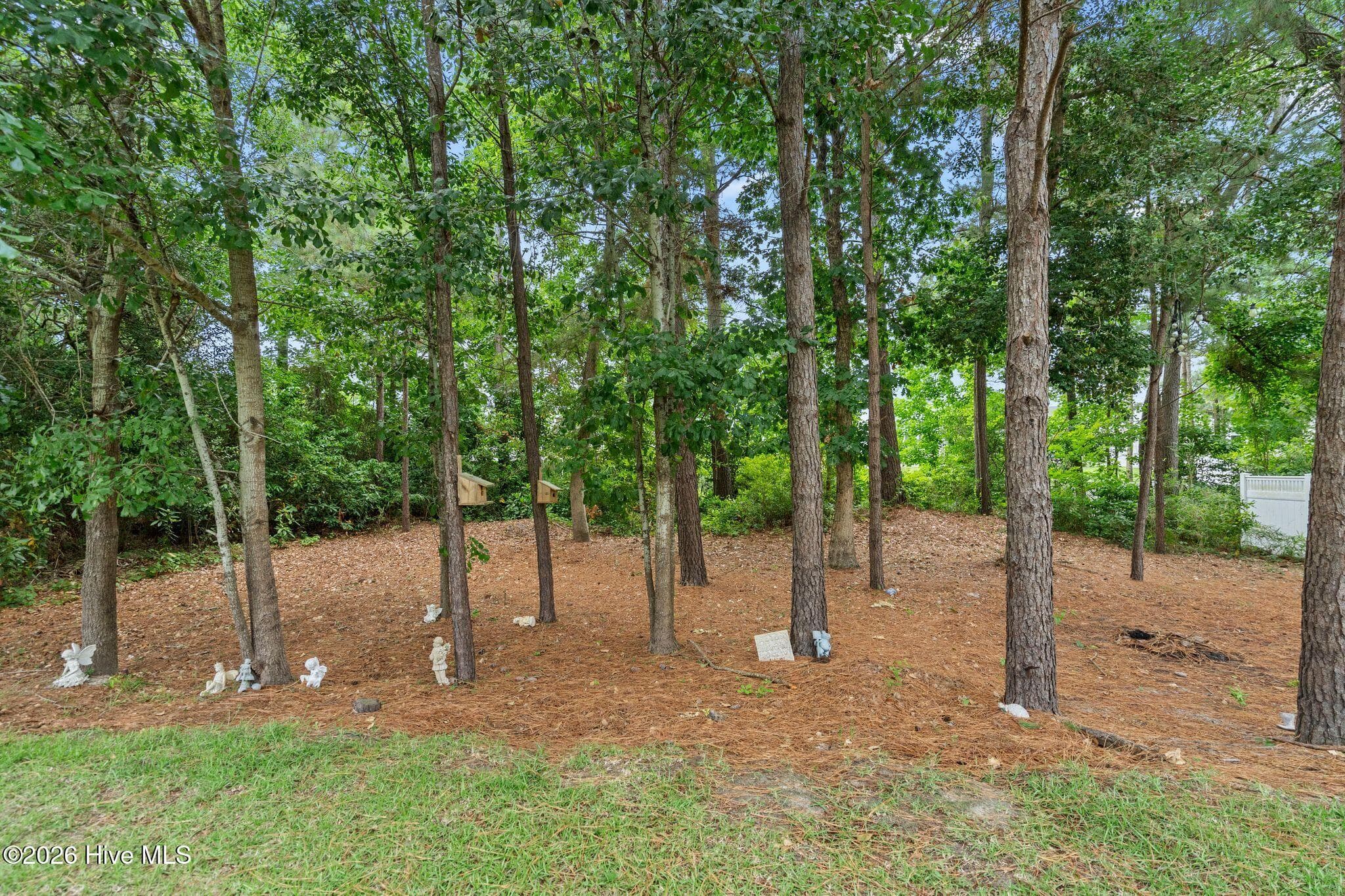 Single Family Residence at 107 Whispering Pine Lane, Holly Ridge, NC 28445, photo 58 of 100