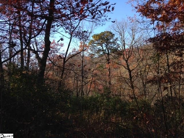Residential Lot at Panther Mountain Road Lot 4, Travelers Rest SC 29690, Travelers Rest, photo 2 of 3