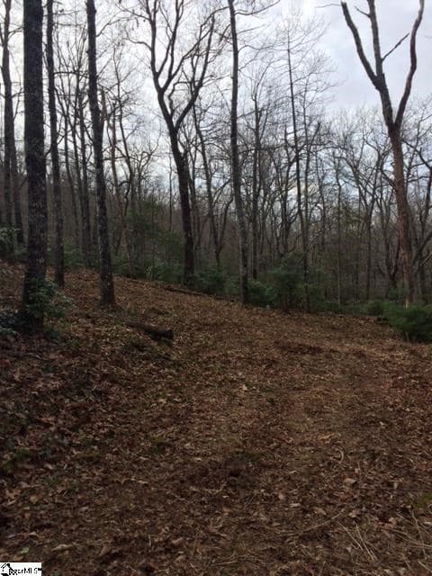 Residential Lot at Panther Mountain Road Lot 4, Travelers Rest SC 29690, Travelers Rest, photo 3 of 3