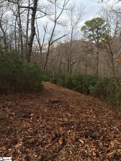 Panther Mountain Road Lot 4, Travelers Rest SC 29690