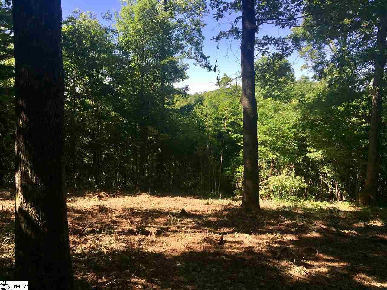 Residential Lot at 28 Wild Ginger Road, Landrum SC 29356, photo 2 of 4