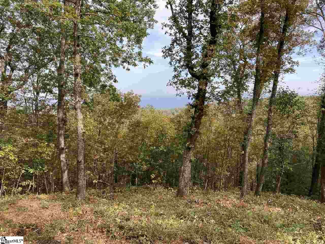 Residential Lot at 215 Yellowroot Lane, Landrum SC 29356, photo 2 of 4