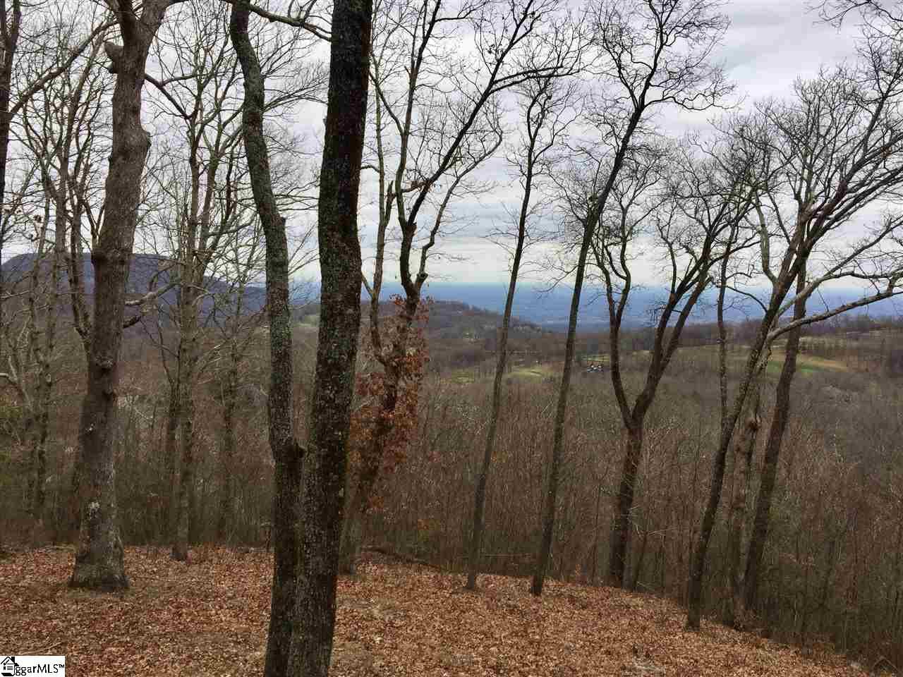 Residential Lot at 215 Yellowroot Lane, Landrum SC 29356, photo 3 of 4