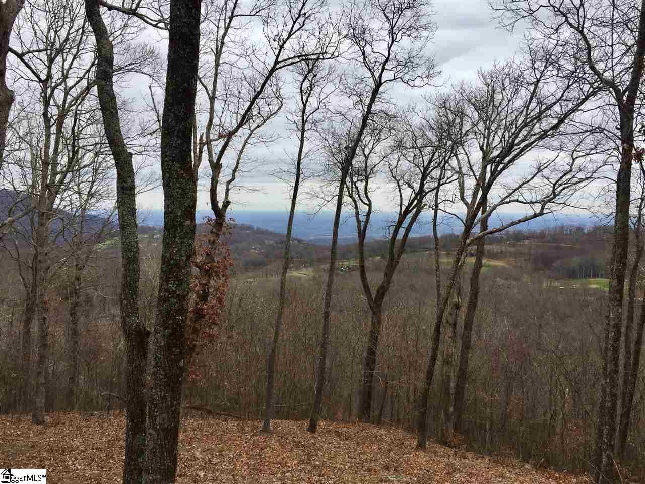215 Yellowroot Lane, Landrum SC 29356