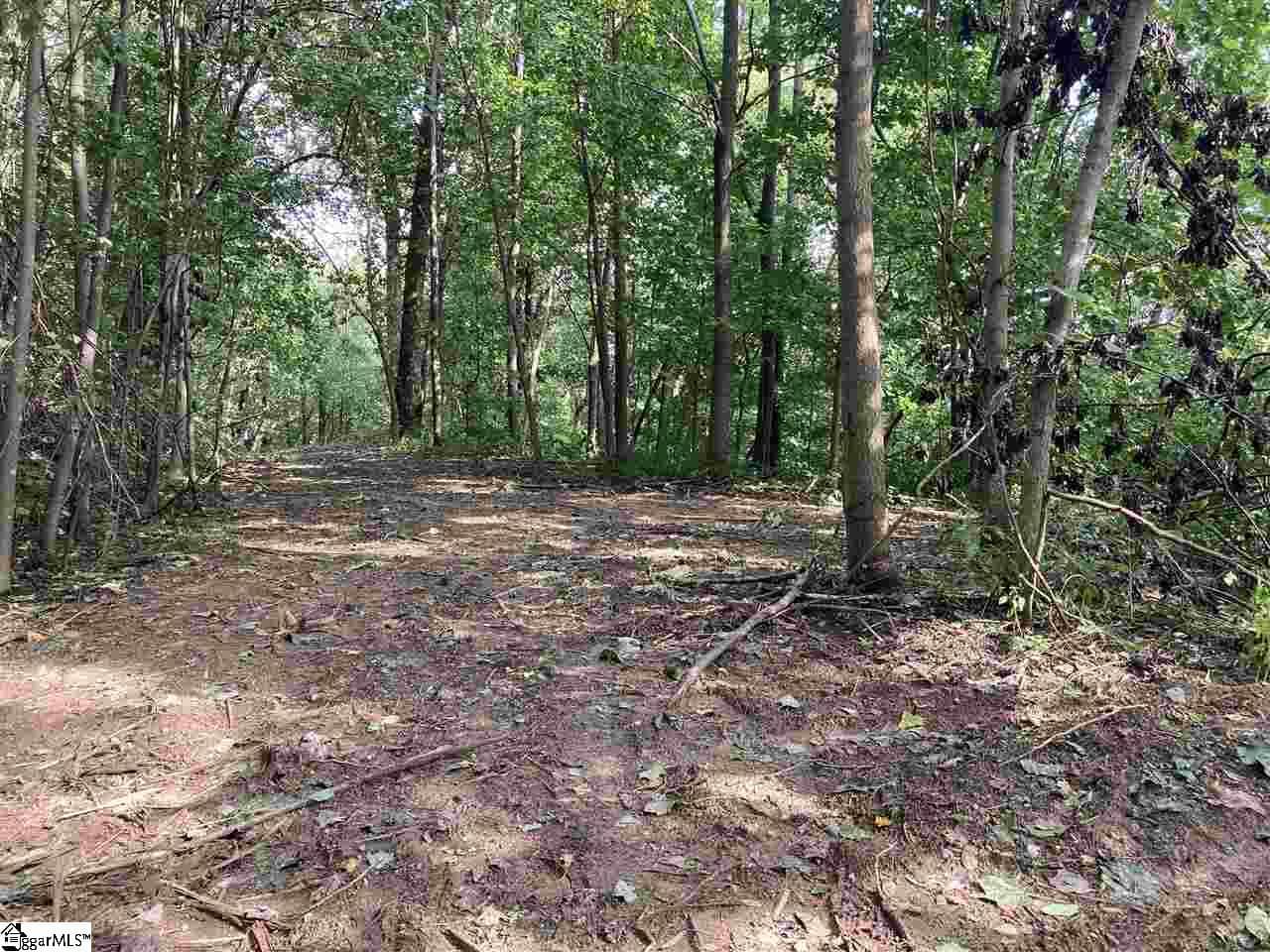 Residential Lot at Boulder Lookout Drive Lot 151, Landrum SC 29356, photo 2 of 7