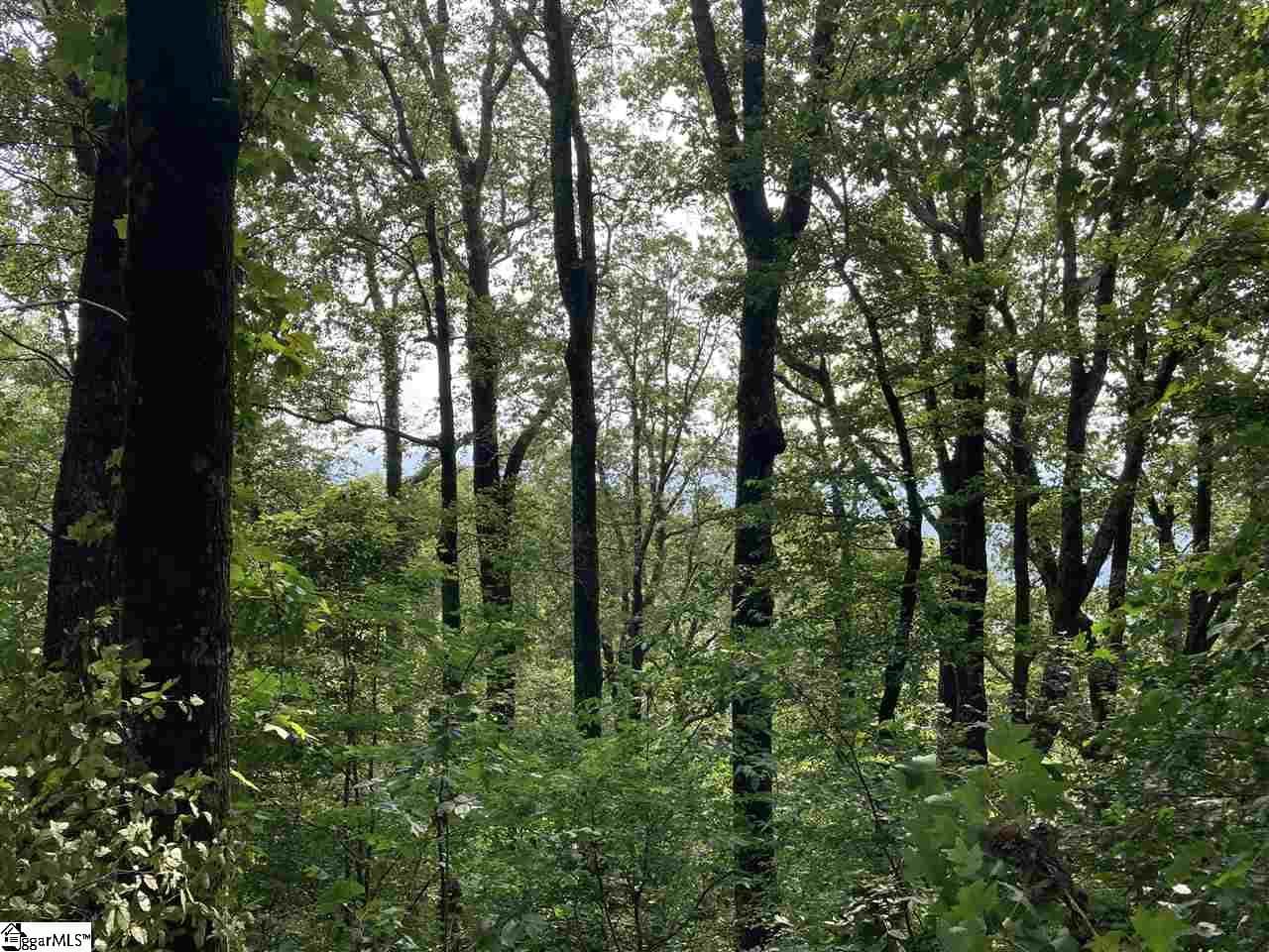 Boulder Lookout Drive Lot 151, Landrum SC 29356