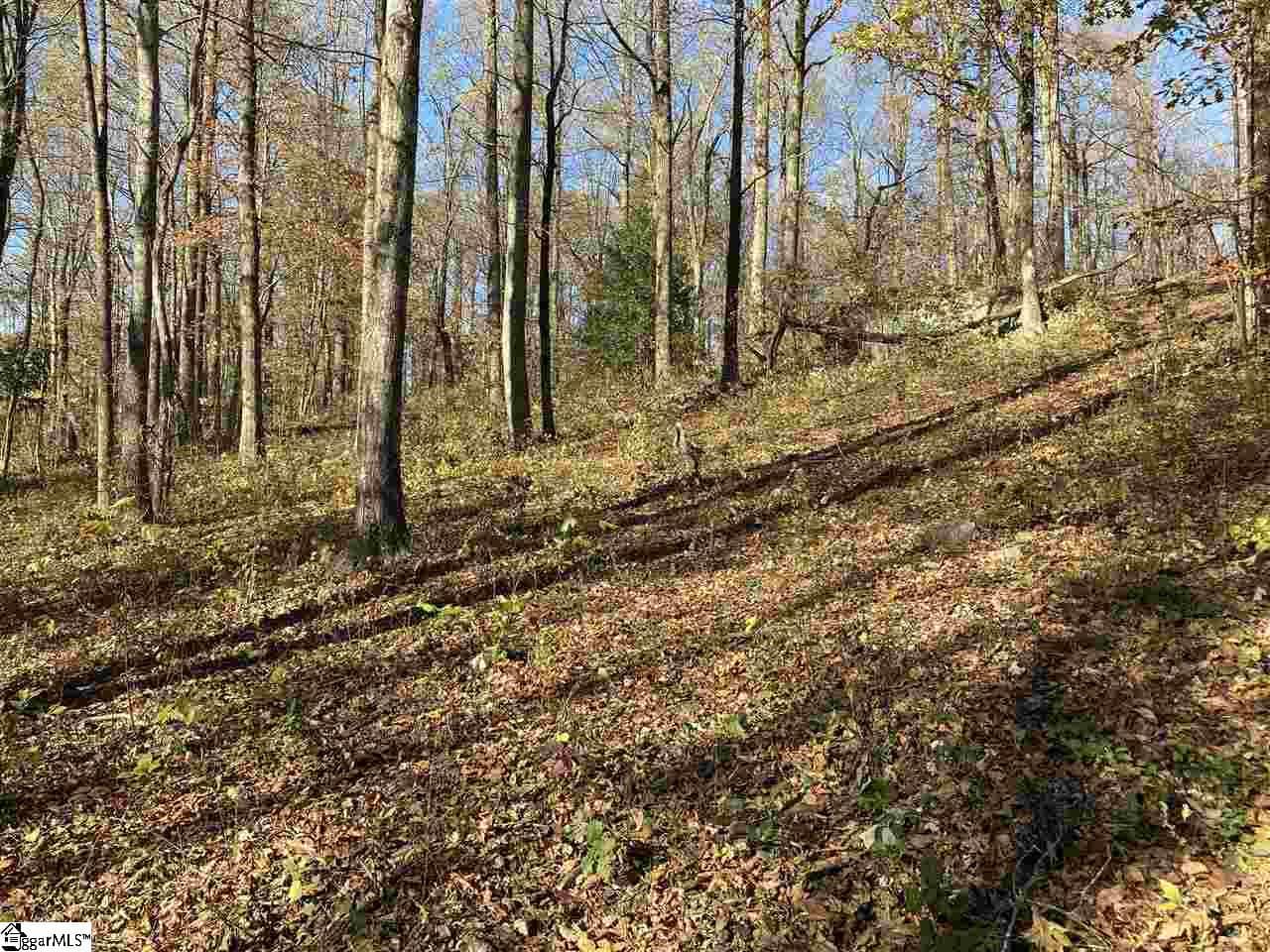 Residential Lot at 194 Catnip Trail, Landrum SC 29356, photo 2 of 4