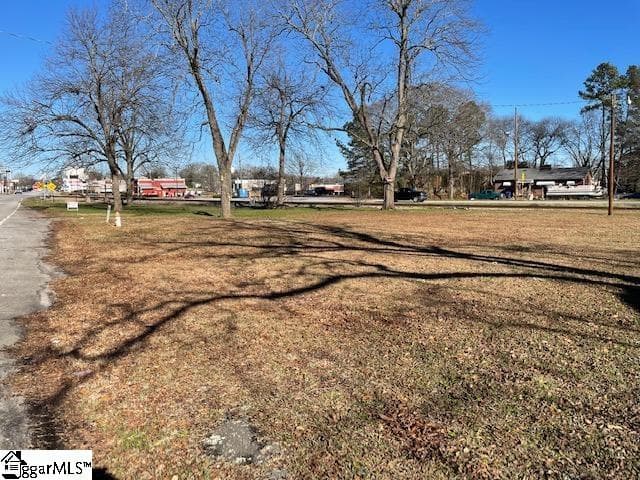 Commercial at 529 S Main Street, Woodruff SC 29388-2118, photo 2 of 10