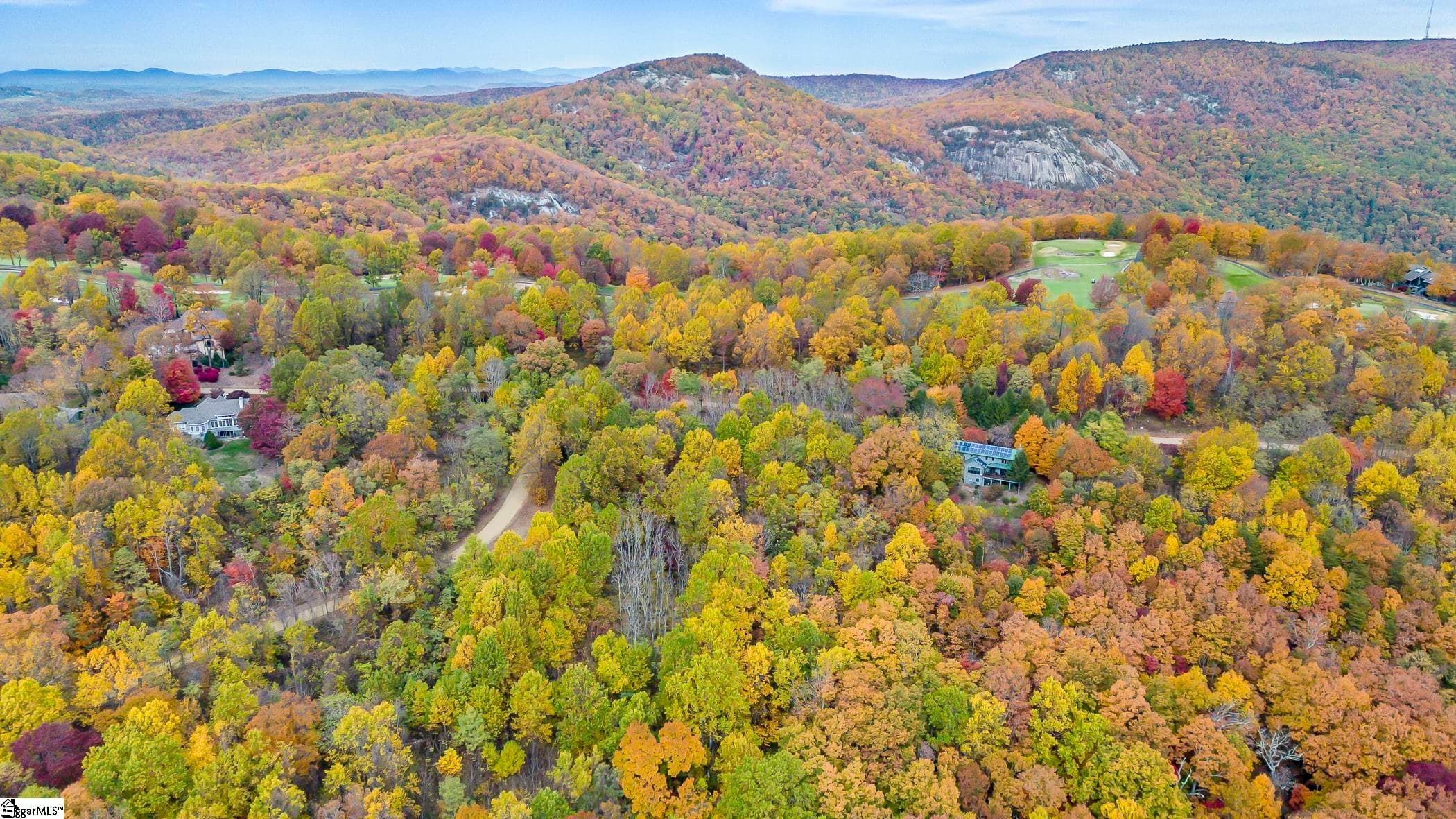 Residential Lot at 00 May Apple Way, Landrum SC 29356, photo 8 of 13