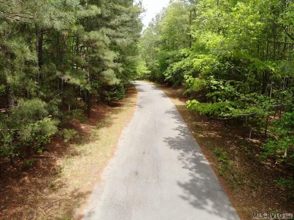 Acreage,Residential Lot-Restricted,Unimproved Land at 0 Pine Top Dr, Valentines VA 23887, Valentines, photo 6 of 7