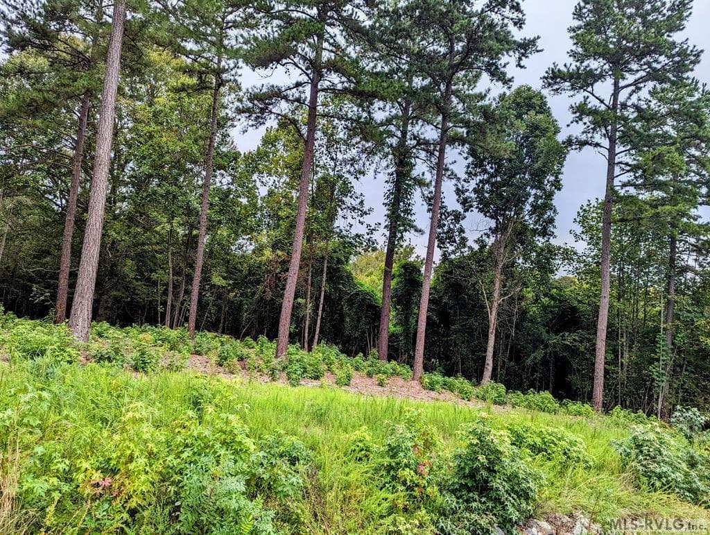 Residential Lot-Restricted,Unimproved Land at Lot 18 Grace Stone Drive, Clarksville VA 23927, Clarksville, photo 6 of 21