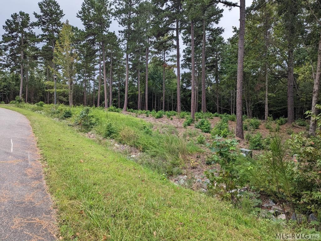 Residential Lot-Restricted,Unimproved Land at Lot 18 Grace Stone Drive, Clarksville VA 23927, Clarksville, photo 5 of 21