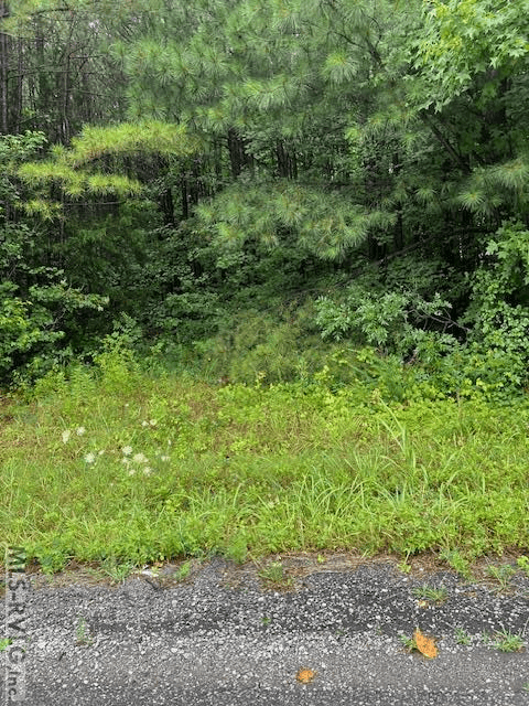 000 Lawrenceville Plank Rd, Lawrenceville VA 23868