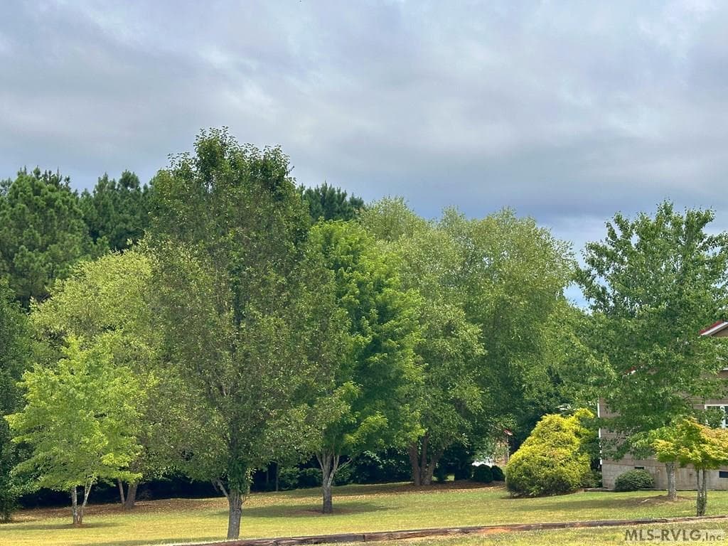 108 Elams Road, Littleton NC 27850 photo 3
