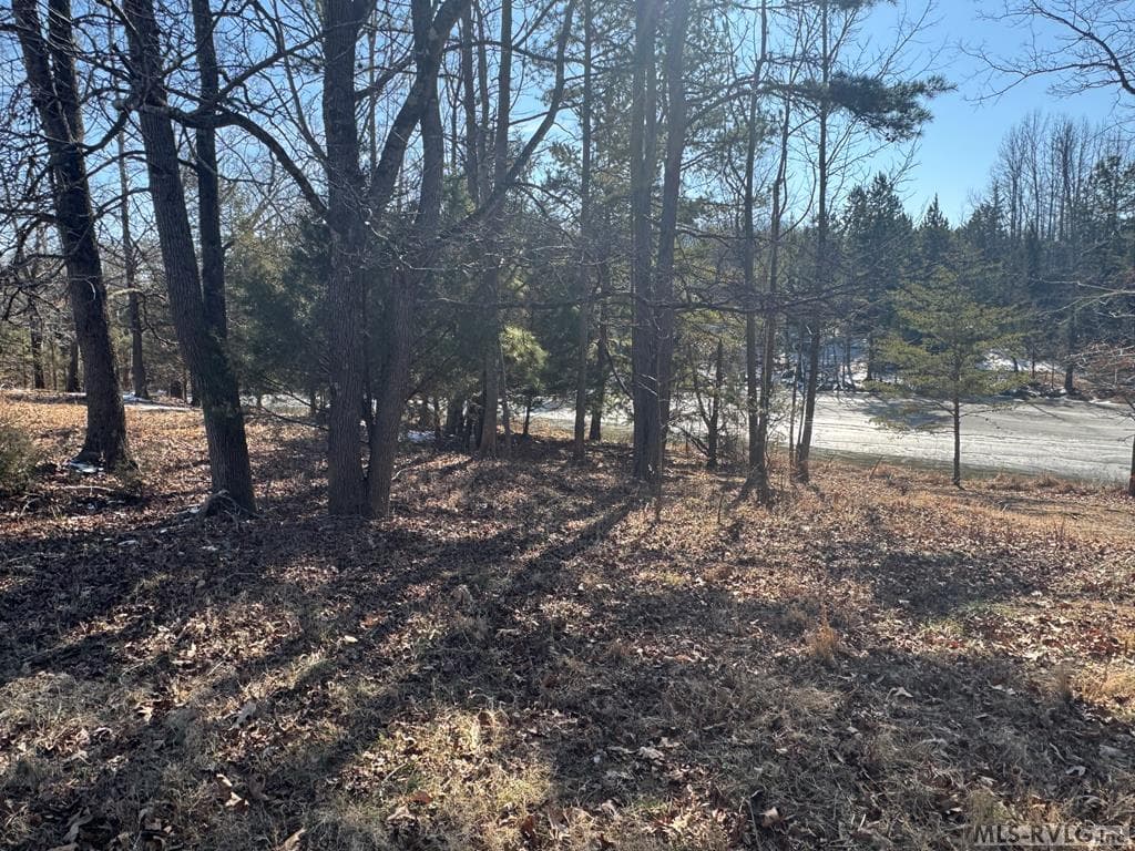 Acreage,Unimproved Land at 0 Keeton Rd., Bullock NC 27507, Bullock, photo 7 of 28