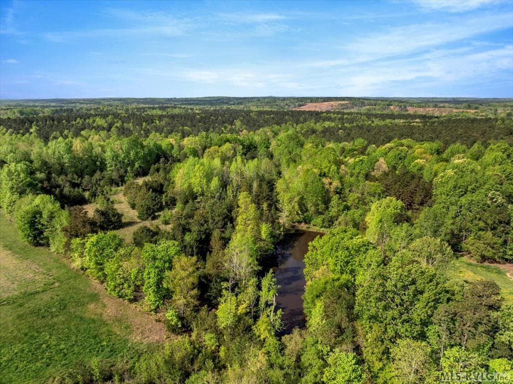 Acreage,Unimproved Land at 0 Keeton Rd., Bullock NC 27507, Bullock, photo 14 of 28