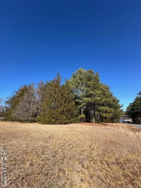 Residential Lot-Restricted,Unimproved Land at 000 Moss Point, Gasburg VA 23857, Gasburg, photo 12 of 12