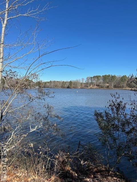 Residential Lot-Restricted,Unimproved Land at 000 Moss Point, Gasburg VA 23857, Gasburg, photo 7 of 12