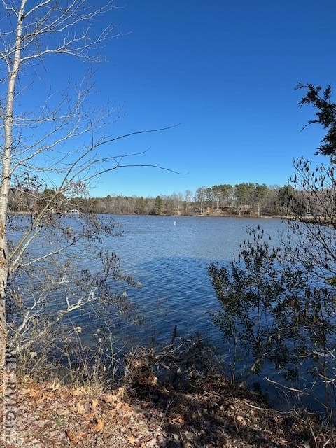 Residential Lot-Restricted,Unimproved Land at 000 Moss Point, Gasburg VA 23857, Gasburg, photo 5 of 12