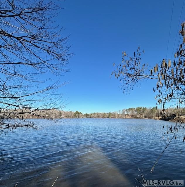 Residential Lot-Restricted,Unimproved Land at 000 Moss Point, Gasburg VA 23857, Gasburg, photo 10 of 12