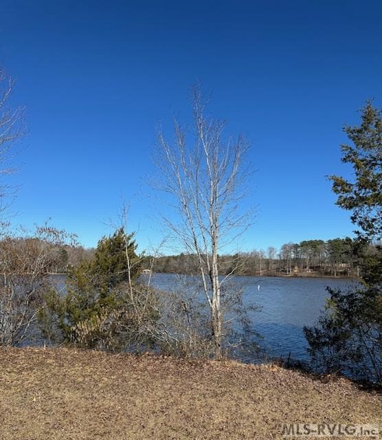 Residential Lot-Restricted,Unimproved Land at 000 Moss Point, Gasburg VA 23857, Gasburg, photo 4 of 12