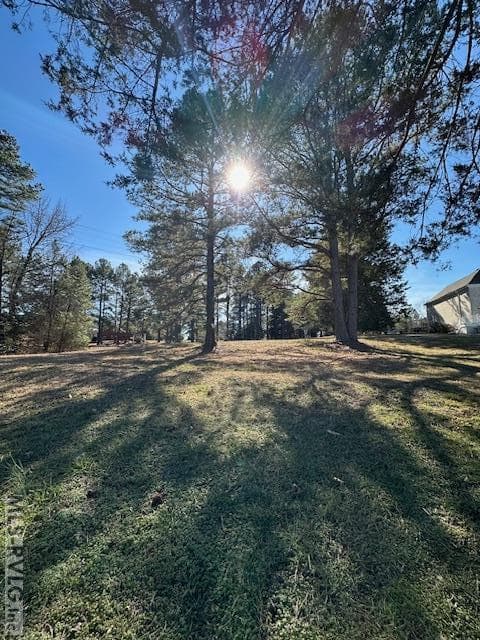 Residential Lot-Restricted,Unimproved Land at 000 Moss Point, Gasburg VA 23857, Gasburg, photo 8 of 12