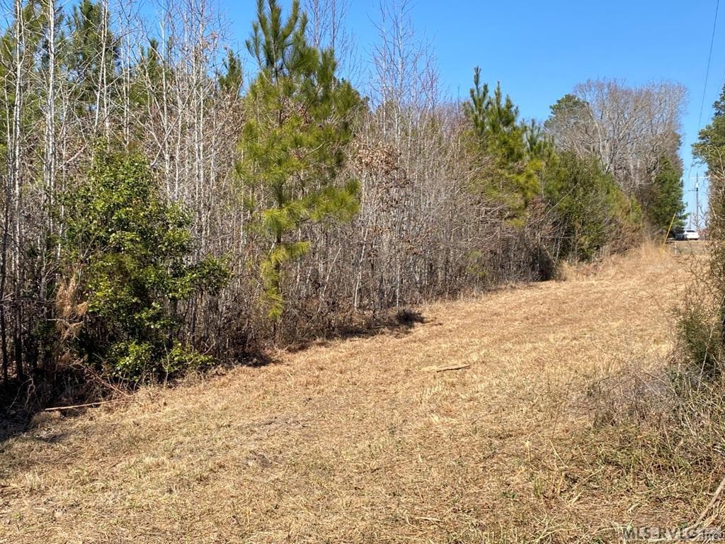 Acreage,Residential Lot-Restricted,Unimproved Land at Lot# 8 Christanna Hwy, Lawrenceville VA 23868, Lawrenceville, photo 6 of 7