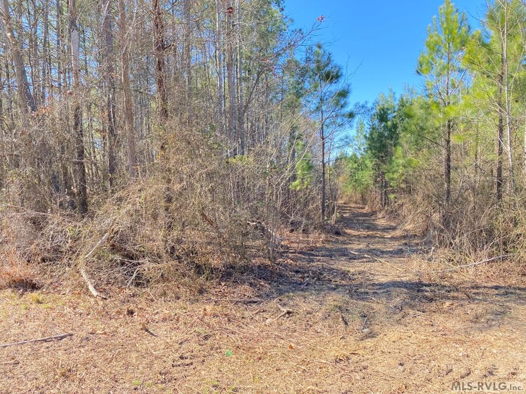 Acreage,Residential Lot-Restricted,Unimproved Land at Lot# 8 Christanna Hwy, Lawrenceville VA 23868, Lawrenceville, photo 7 of 7