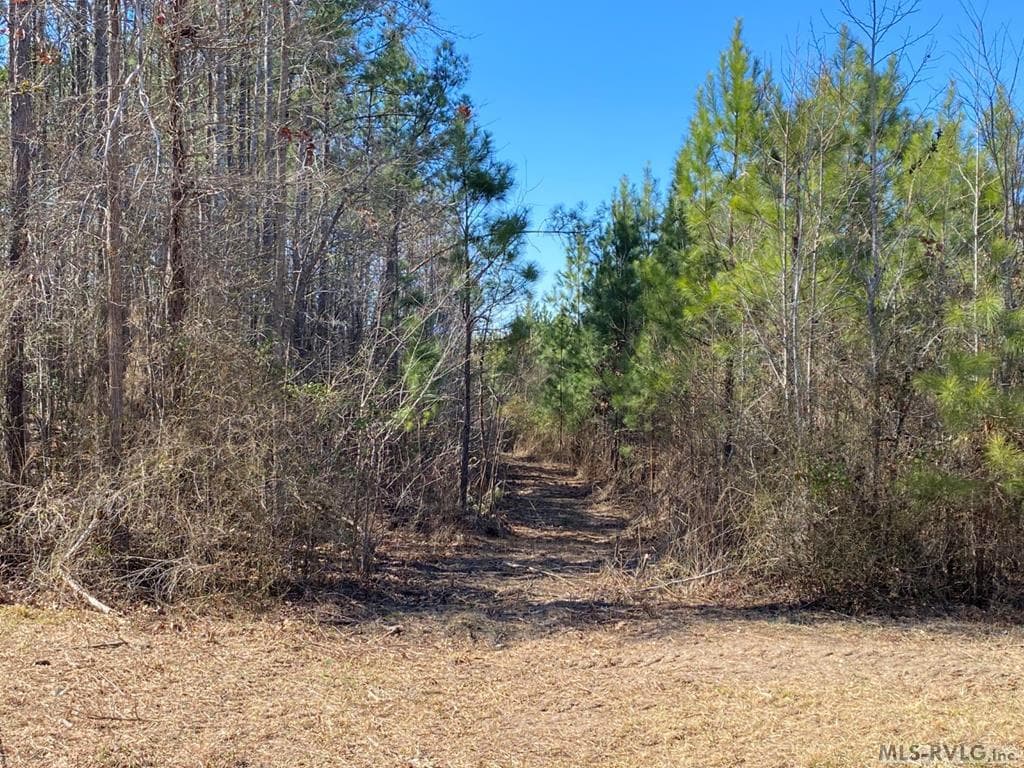 Acreage,Residential Lot-Restricted,Unimproved Land at Lot# 8 Christanna Hwy, Lawrenceville VA 23868, Lawrenceville, photo 5 of 7