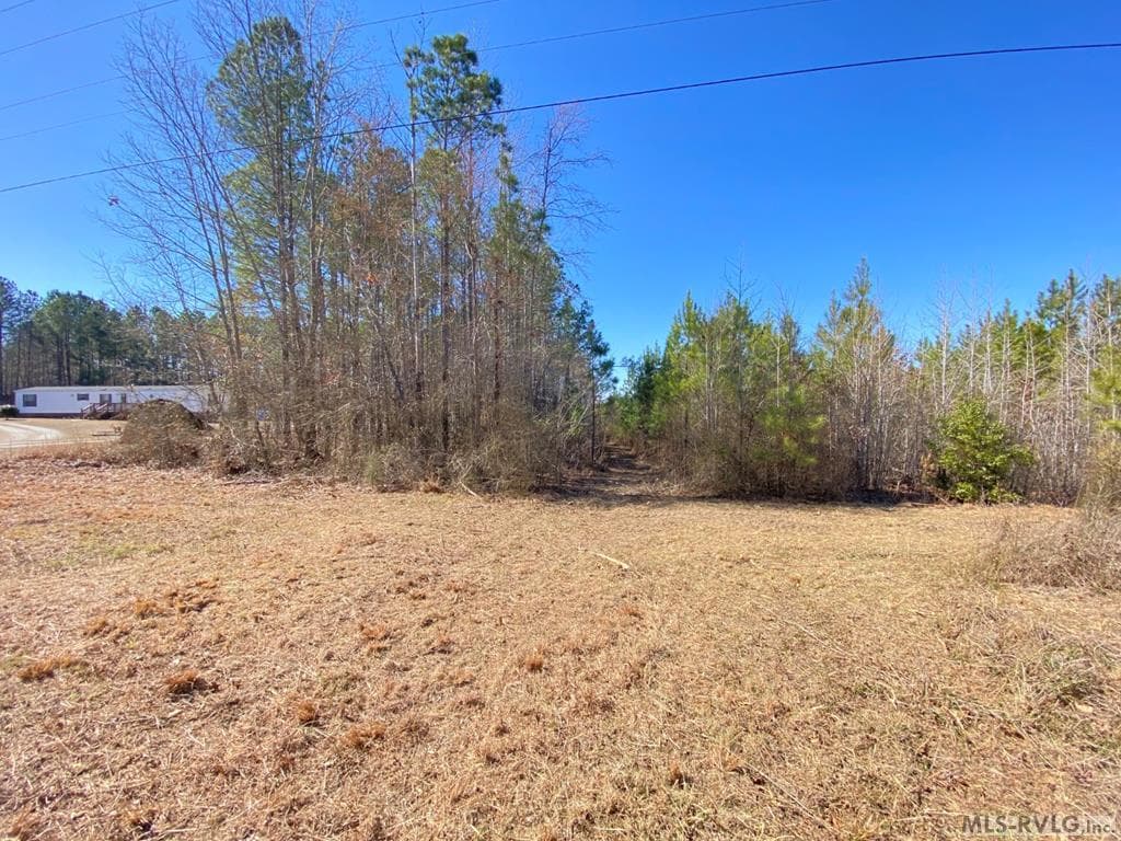 Acreage,Residential Lot-Restricted,Unimproved Land at Lot# 8 Christanna Hwy, Lawrenceville VA 23868, Lawrenceville, photo 4 of 7