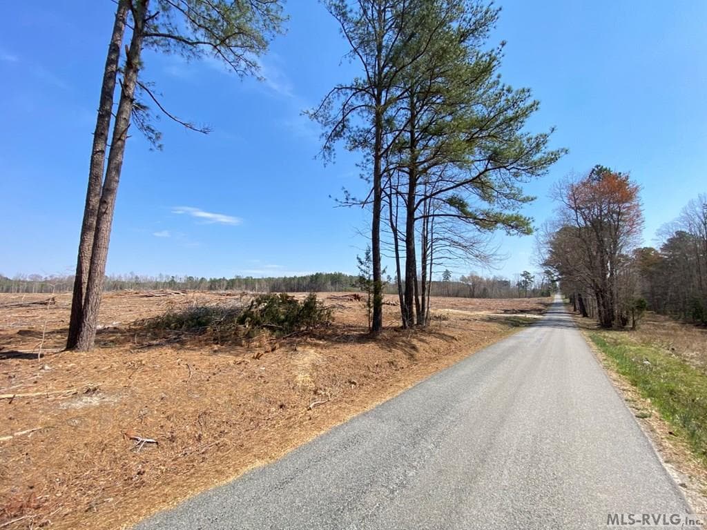 Acreage,Residential Lot-Restricted,Farm,Double Wide Permitted,Modular On Frame Permitted,Other-See Remarks,Unimproved Land at 28.14 Chalk Level Rd, Alberta VA 23821, Alberta, photo 6 of 47