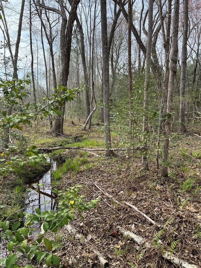 Acreage,Residential Lot-Restricted,Farm,Double Wide Permitted,Modular On Frame Permitted,Other-See Remarks,Unimproved Land at 28.14 Chalk Level Rd, Alberta VA 23821, Alberta, photo 46 of 47