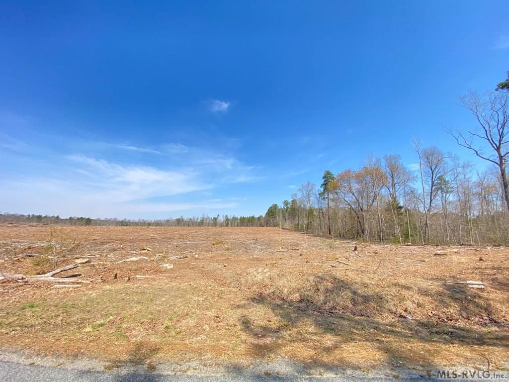 Acreage,Residential Lot-Restricted,Farm,Double Wide Permitted,Modular On Frame Permitted,Other-See Remarks,Unimproved Land at 28.14 Chalk Level Rd, Alberta VA 23821, Alberta, photo 17 of 47