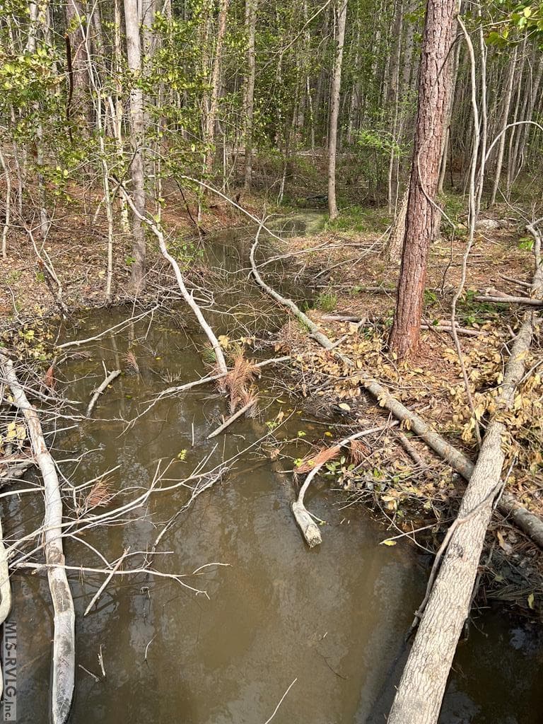 Acreage,Residential Lot-Restricted,Farm,Double Wide Permitted,Modular On Frame Permitted,Other-See Remarks,Unimproved Land at 28.14 Chalk Level Rd, Alberta VA 23821, Alberta, photo 47 of 47