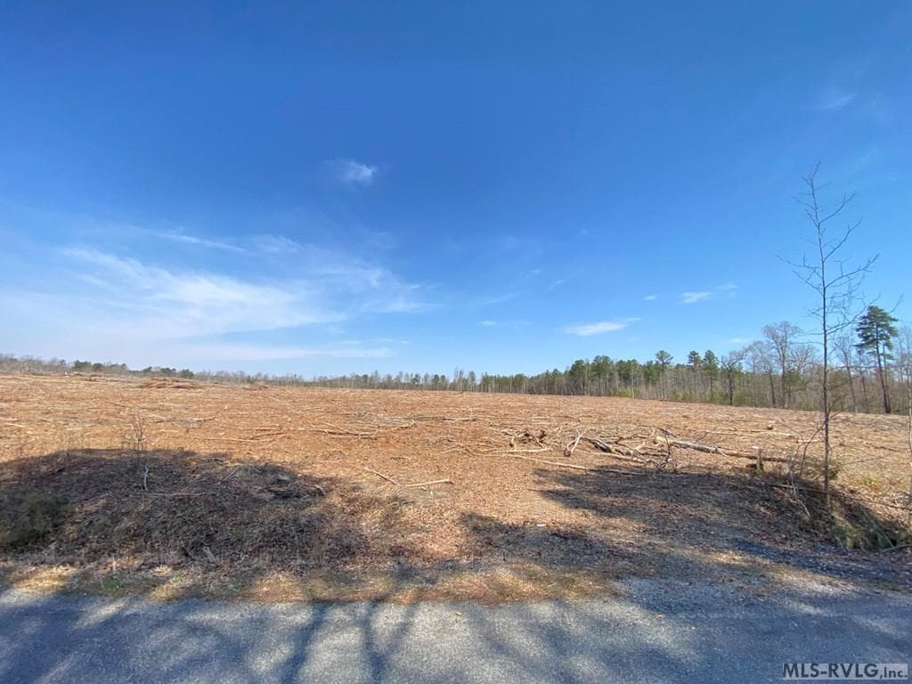 Acreage,Residential Lot-Restricted,Farm,Double Wide Permitted,Modular On Frame Permitted,Other-See Remarks,Unimproved Land at 28.14 Chalk Level Rd, Alberta VA 23821, Alberta, photo 16 of 47