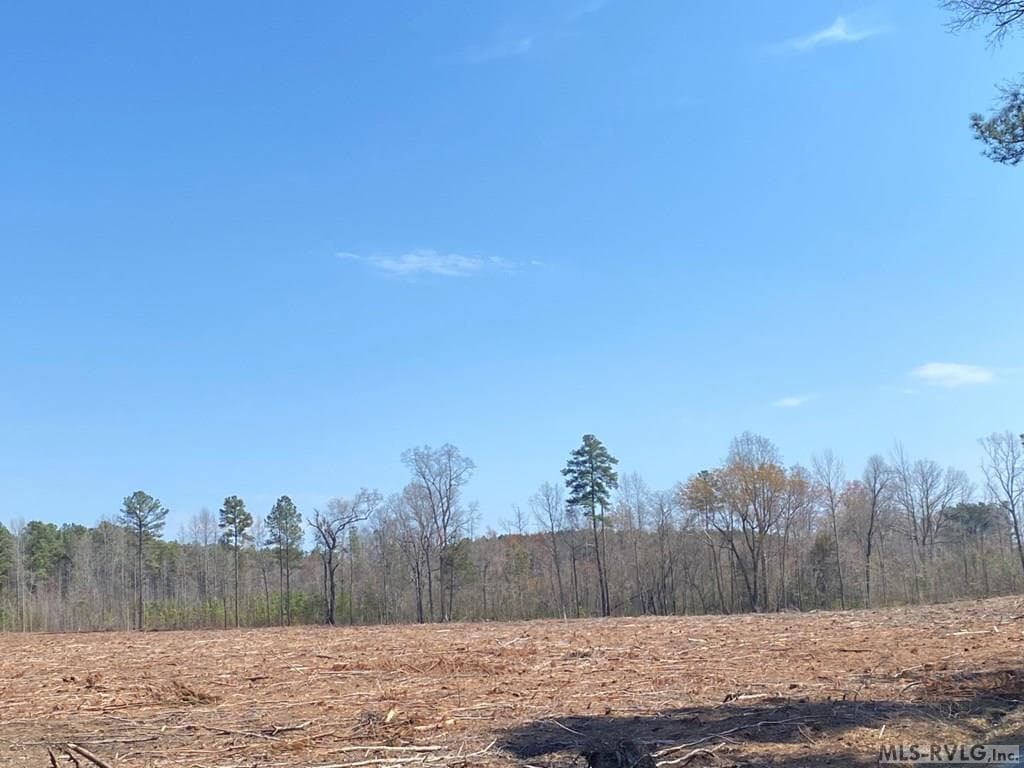 Acreage,Residential Lot-Restricted,Farm,Double Wide Permitted,Modular On Frame Permitted,Other-See Remarks,Unimproved Land at 28.14 Chalk Level Rd, Alberta VA 23821, Alberta, photo 12 of 47